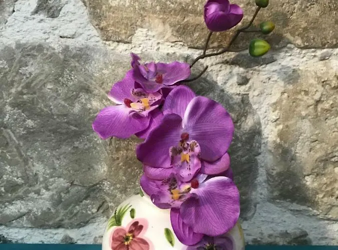 N&m - Diocletians Palace